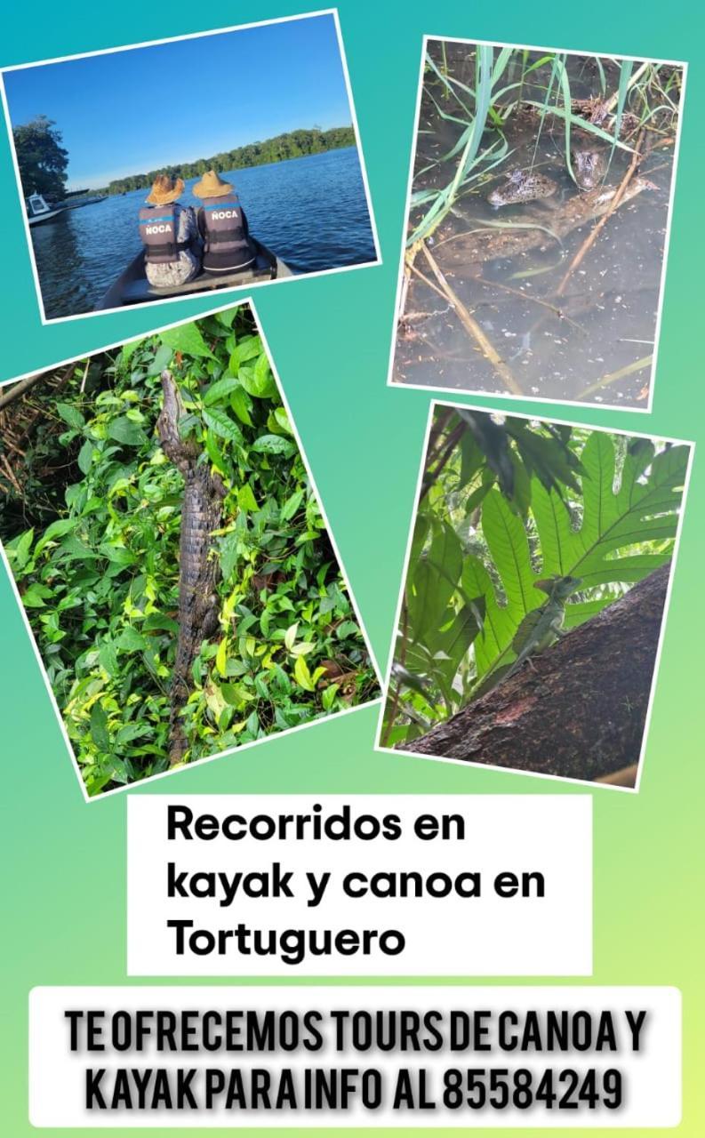 Apartamentos Caiman 3 Tortuguero Exterior photo